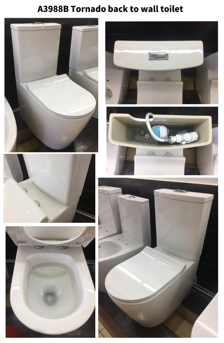 Ceramic Siphonic Wc Bathroom Flush Bidet Toilet